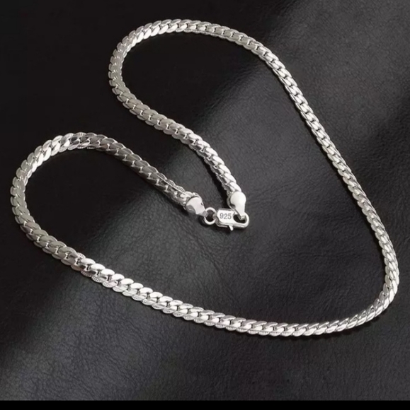 Other - 925 Sterling silver snake necklace